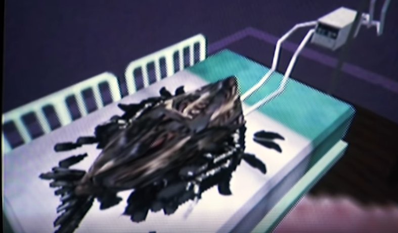 A mangled non-anthropomorphic crow lays in bed in a child's room.